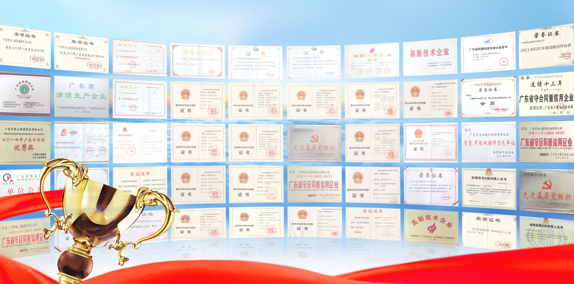 廣東羅浮山國藥股份有限公司